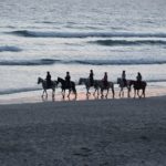 Où passer des vacances à cheval ?